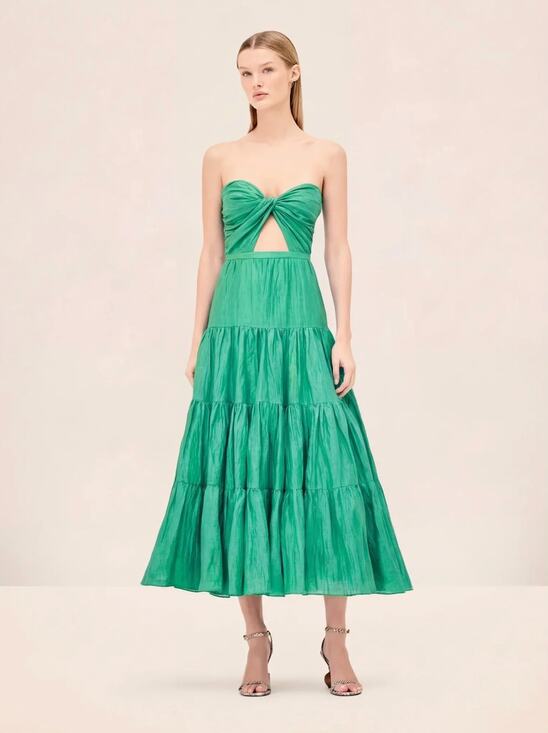 Alexis Dresses & Skirts - Alexis Olivienne Dress